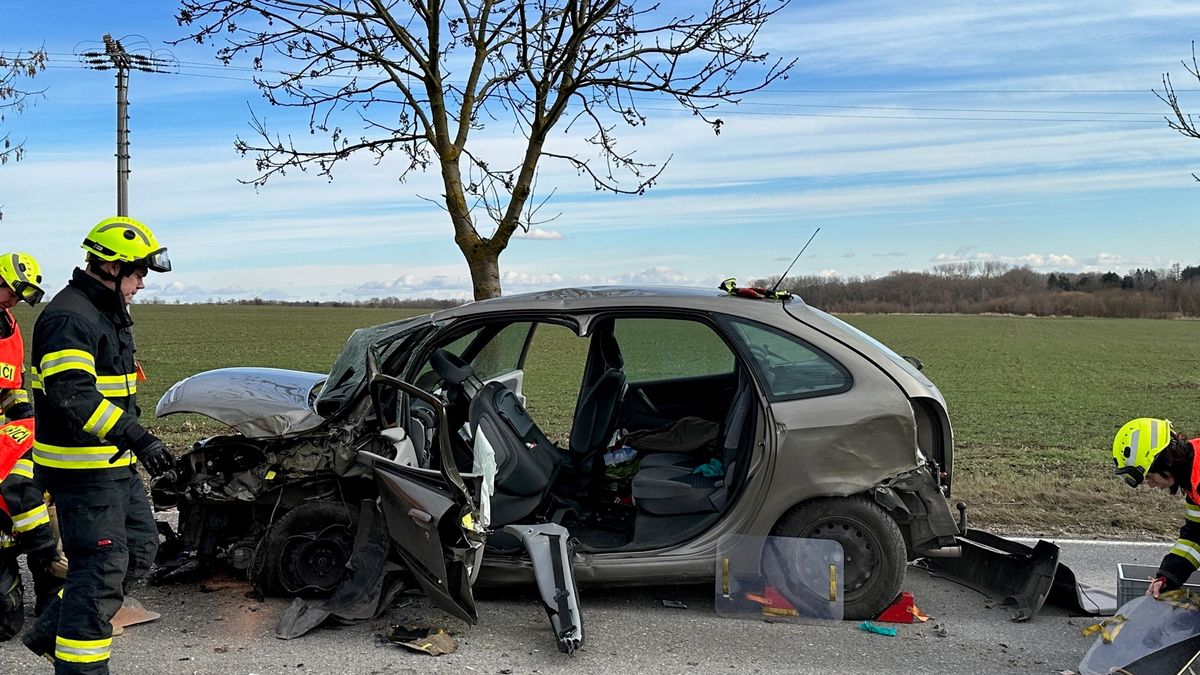 Řidič při předjíždění u Prahy strhl řízení. Narazil do dvou stromů